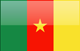 Country flag of Cameroon