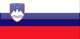 Country flag of Slovenia